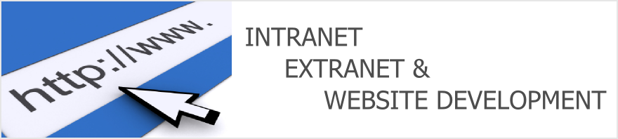 Intranet, Extranet, and Website Development